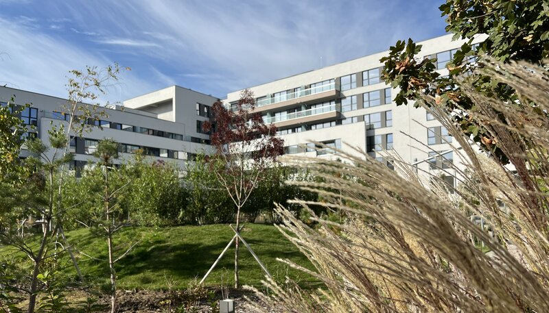 Lacul Straulest, Mall Colosseum,