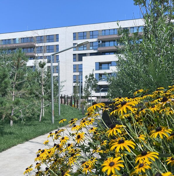 Lacul Straulest, Mall Colosseum,